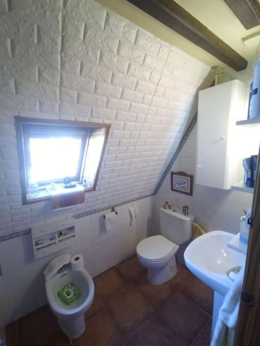 Atico En Pleno Pirineo Apartment El Pueyo de Jaca Luaran gambar